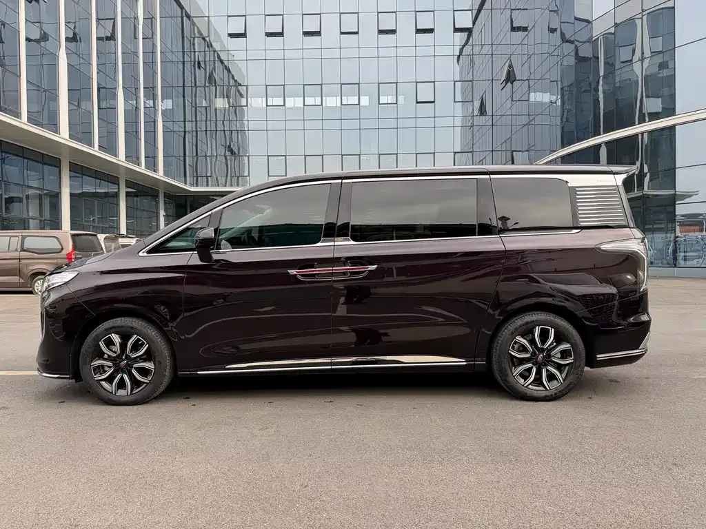 Hongqi HQ9 2023 из CN, фото 8