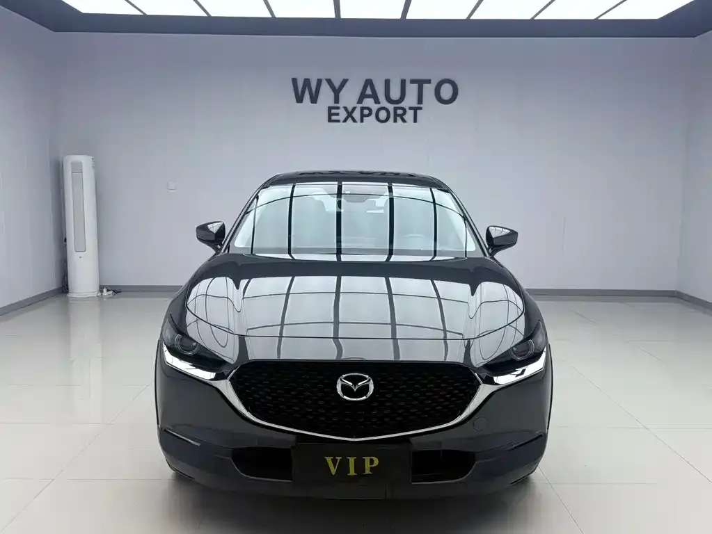 Mazda CX-30 2022 из CN, фото 3