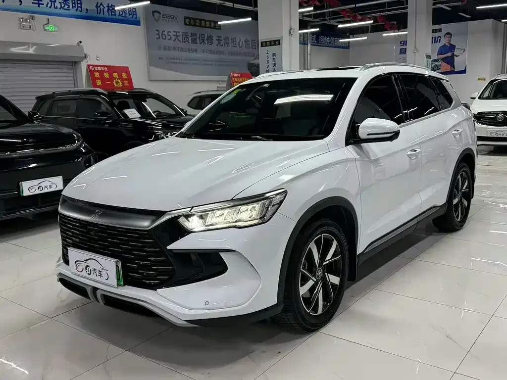 BYD Pro New Energy — фото 1