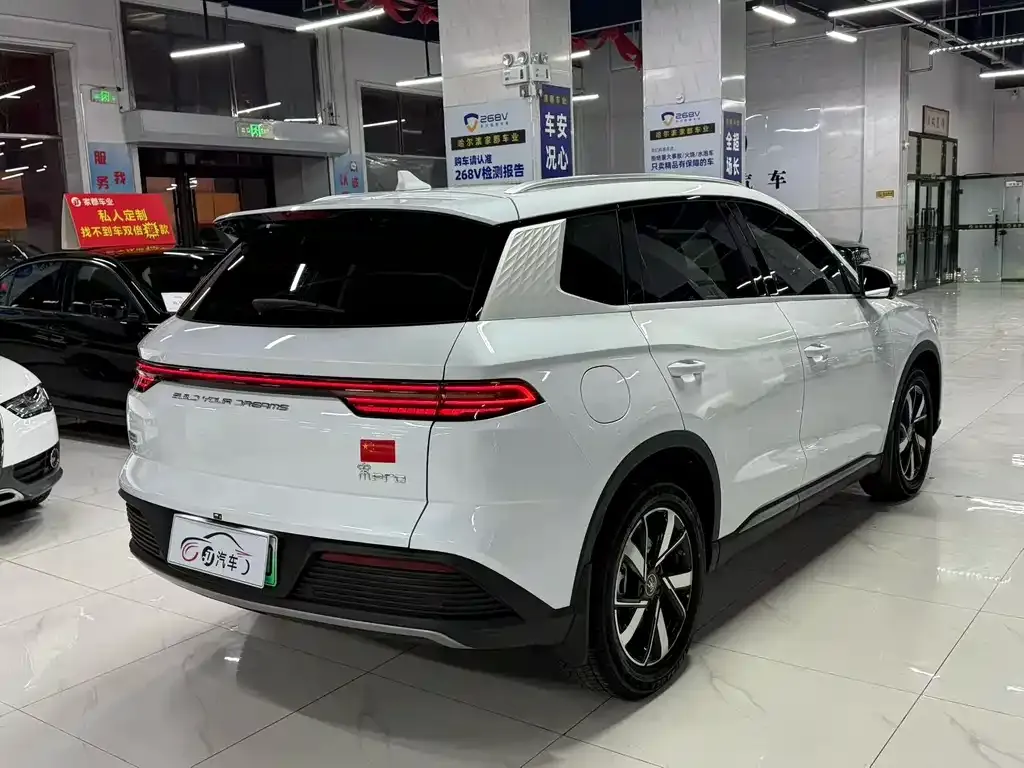 BYD Pro New Energy — фото 4