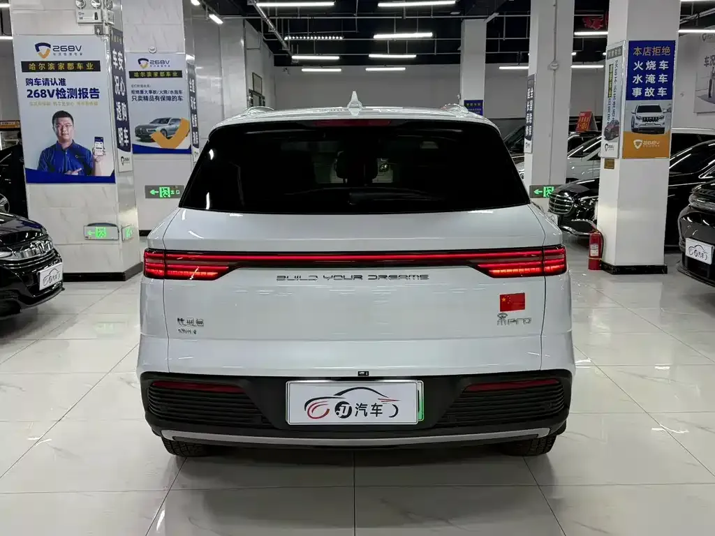BYD Pro New Energy — фото 2