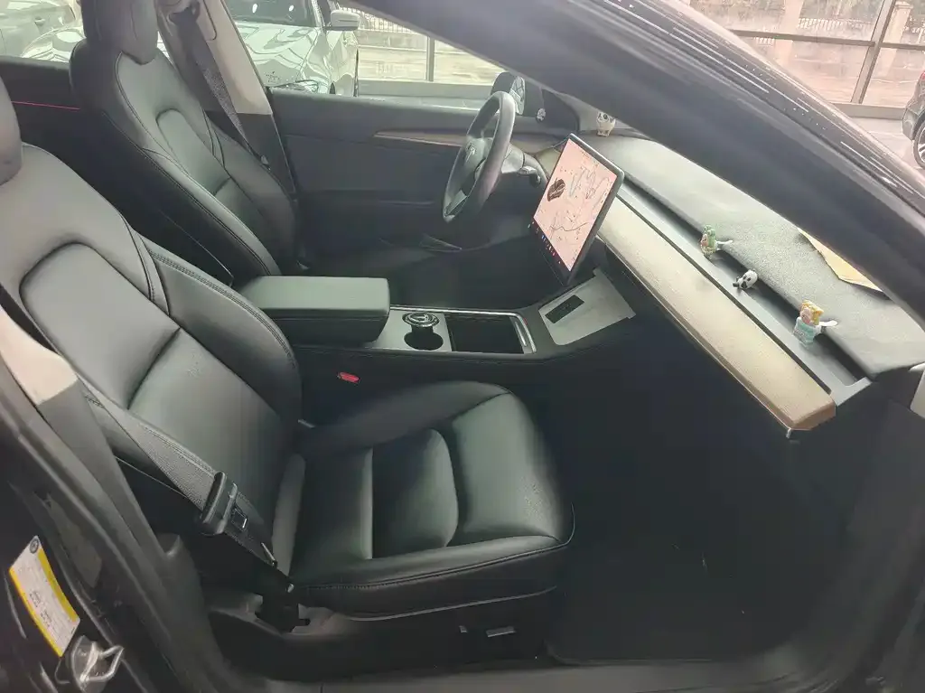 Tesla Model 3 2022 из CN, фото 4