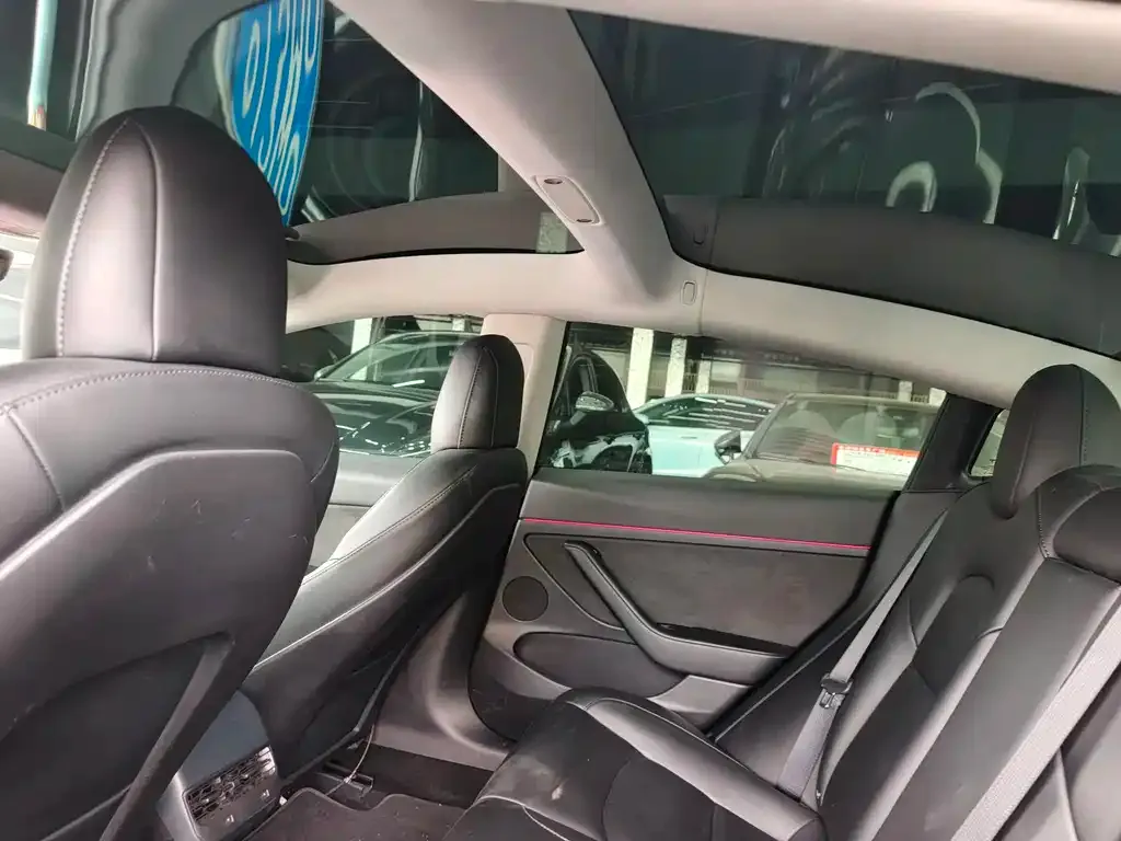 Tesla Model 3 2022 из CN, фото 6