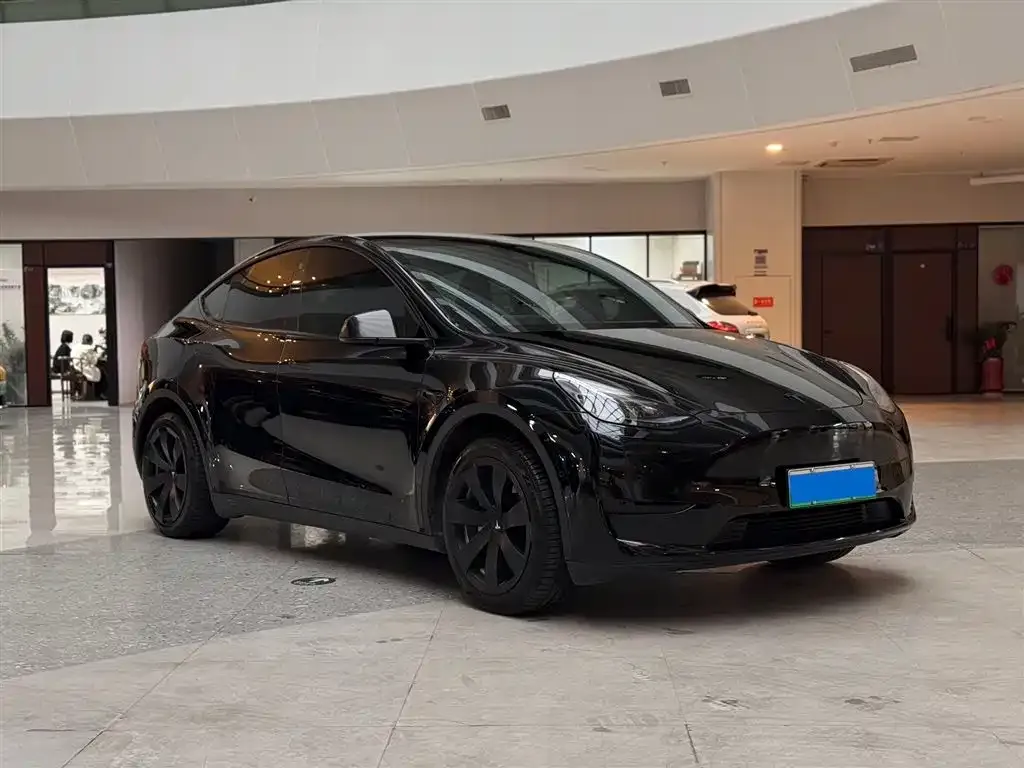 Tesla Model Y 2023 из CN, фото 1