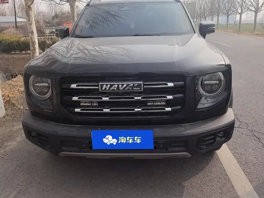 Haval Big Dog 2021 из CN, фото 6