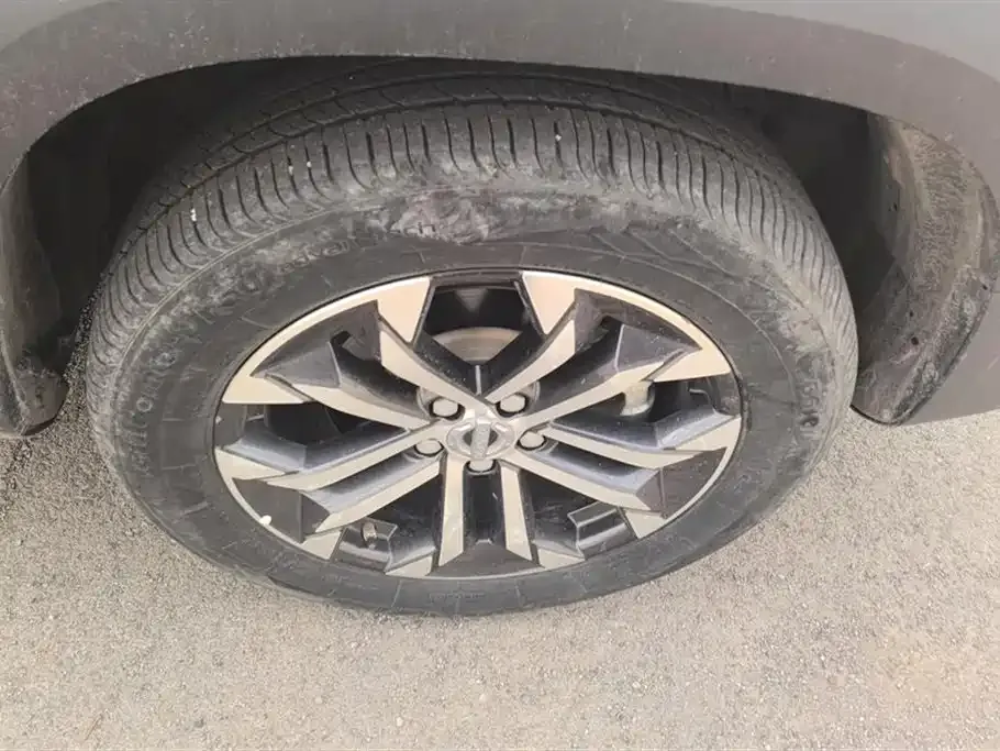Haval Big Dog 2021 из CN, фото 8