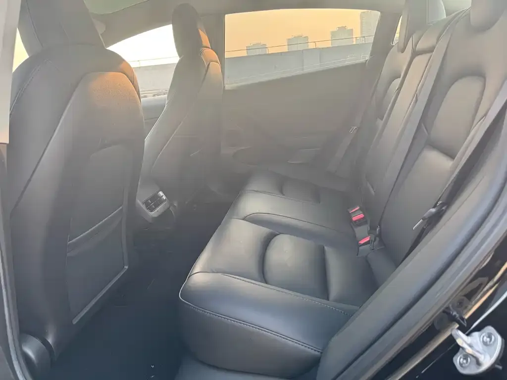 Tesla Model 3 2022 из CN, фото 4