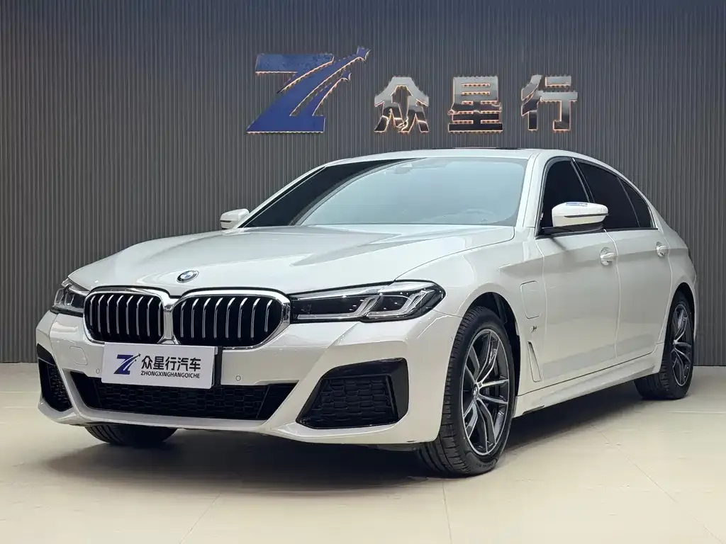 BMW 5 Series New Energy 2021 из CN, фото 1