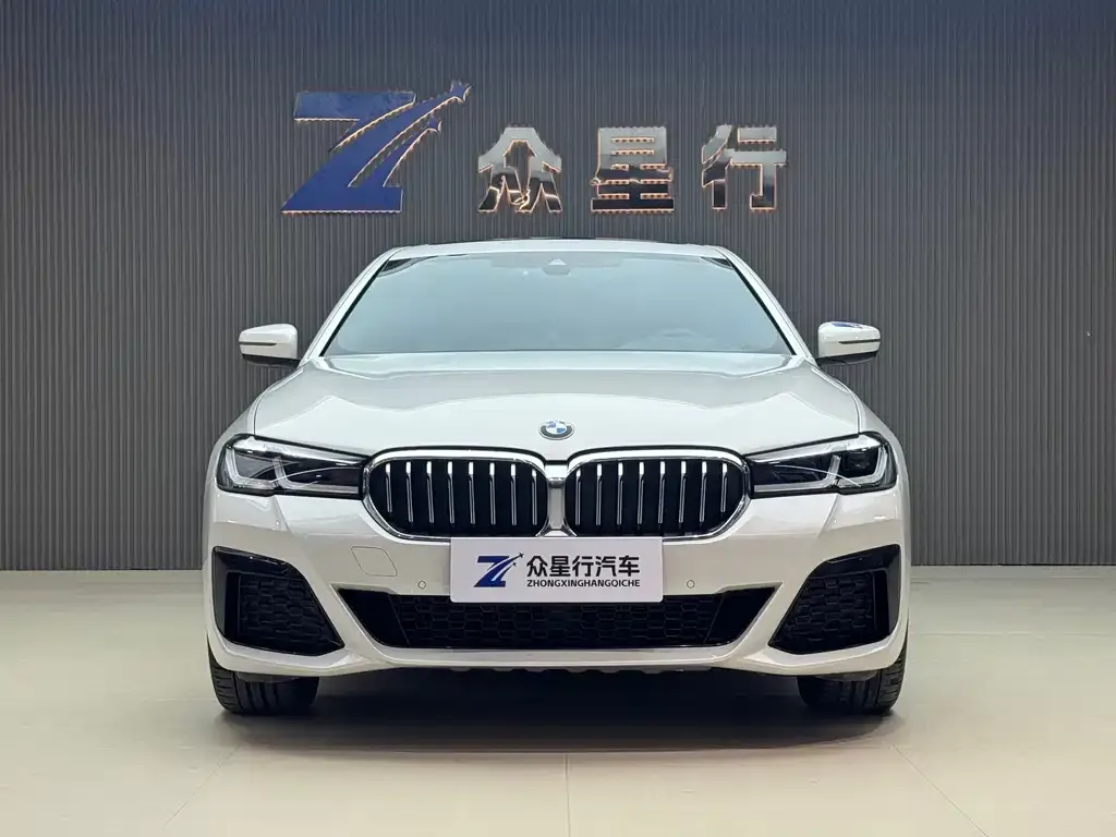 BMW 5 Series New Energy 2021 из CN, фото 4