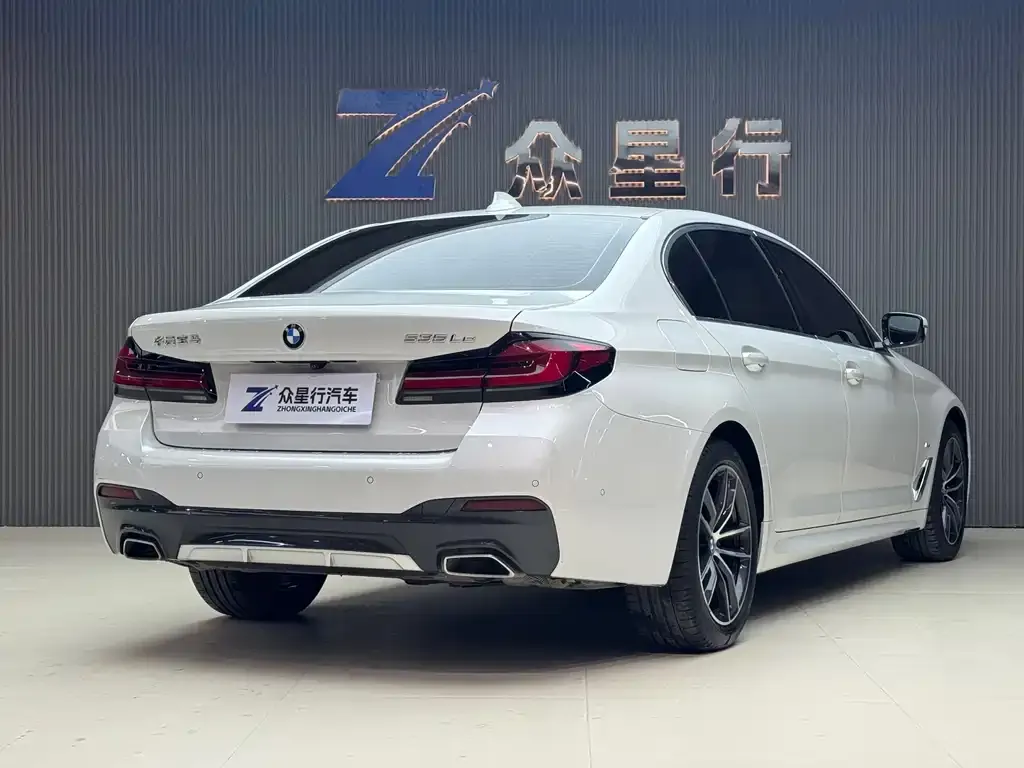 BMW 5 Series New Energy 2021 из CN, фото 7
