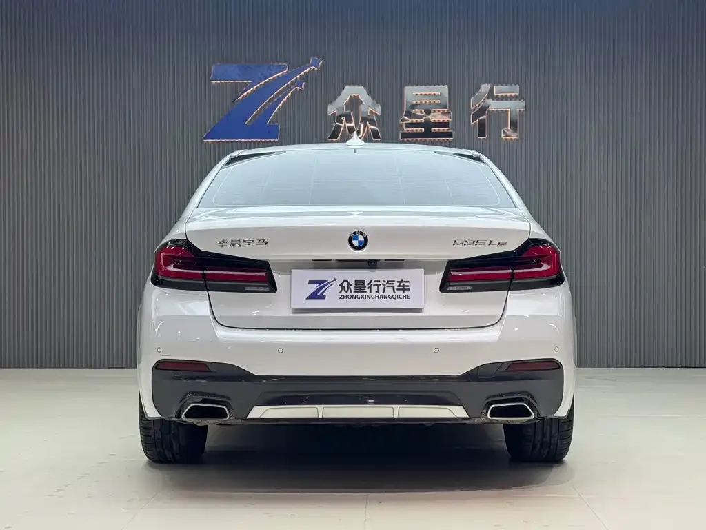 BMW 5 Series New Energy 2021 из CN, фото 5