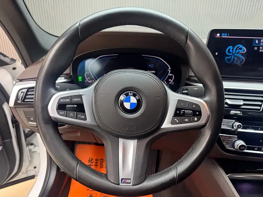 BMW 5 Series New Energy 2021 из CN, фото 6