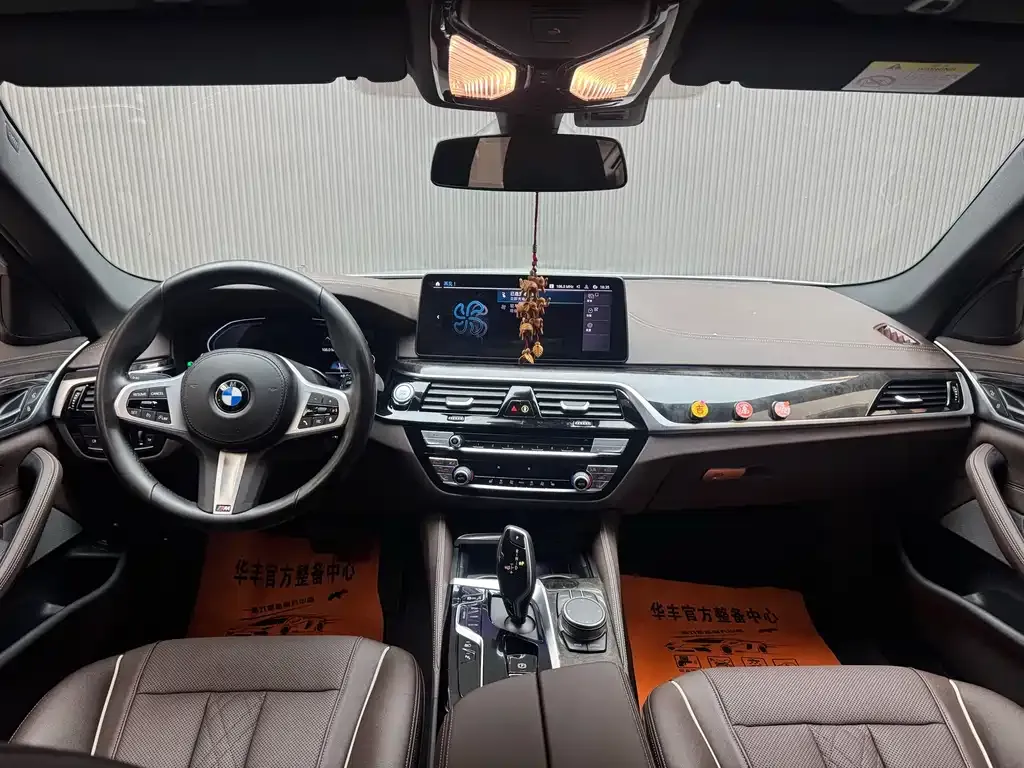 BMW 5 Series New Energy 2021 из CN, фото 9