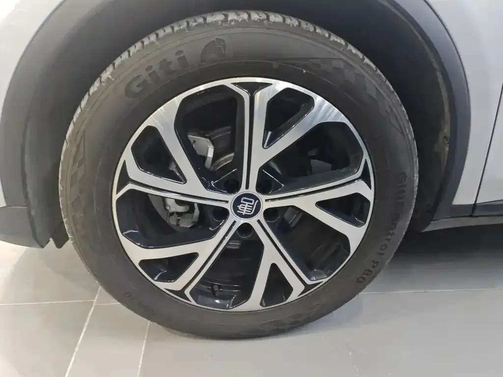 BYD Tang New Energy 2025 из CN, фото 3