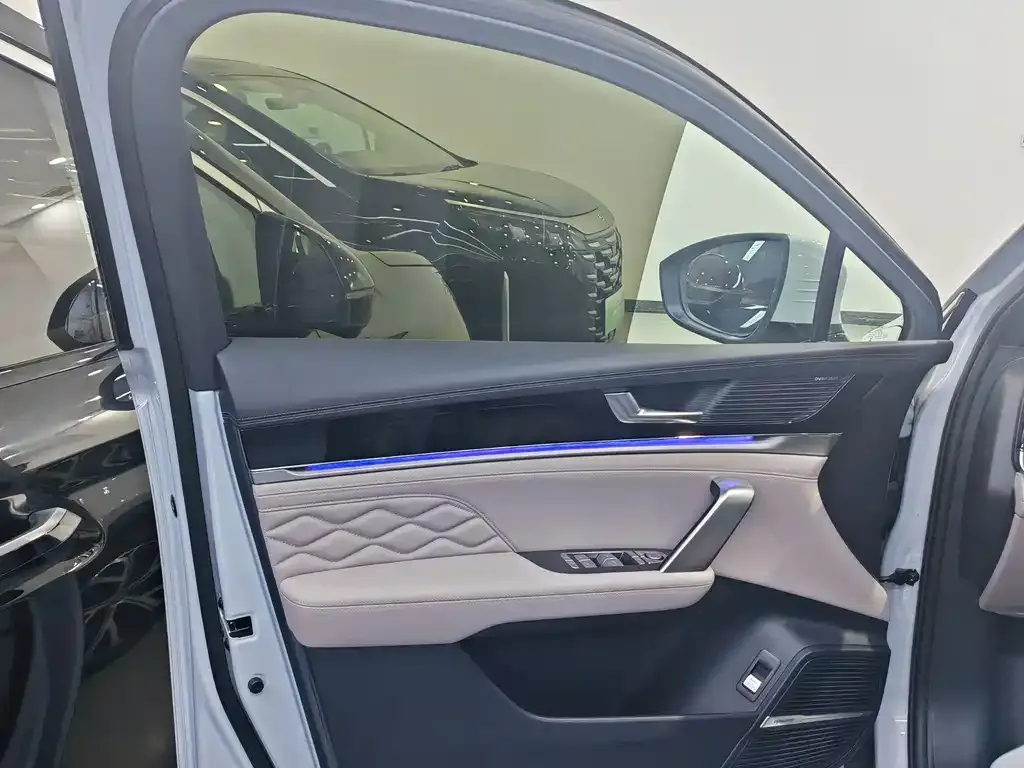 BYD Tang New Energy 2025 из CN, фото 4