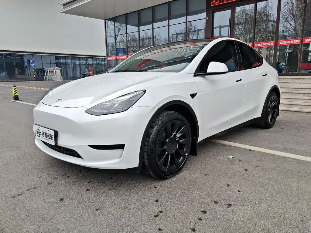 Tesla Model Y — фото 1