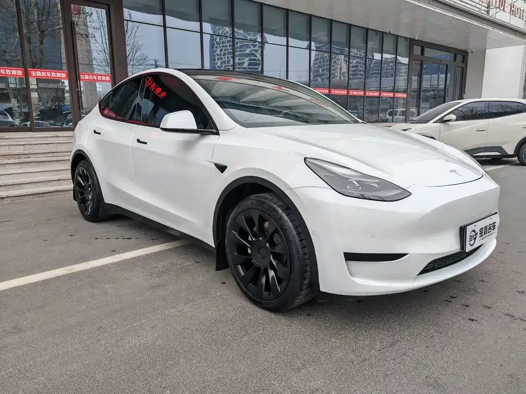 Tesla Model Y — фото 8