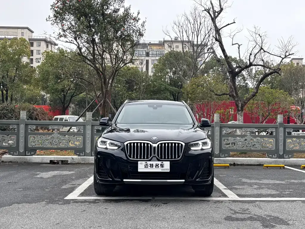 BMW X3 2023 из CN, фото 6