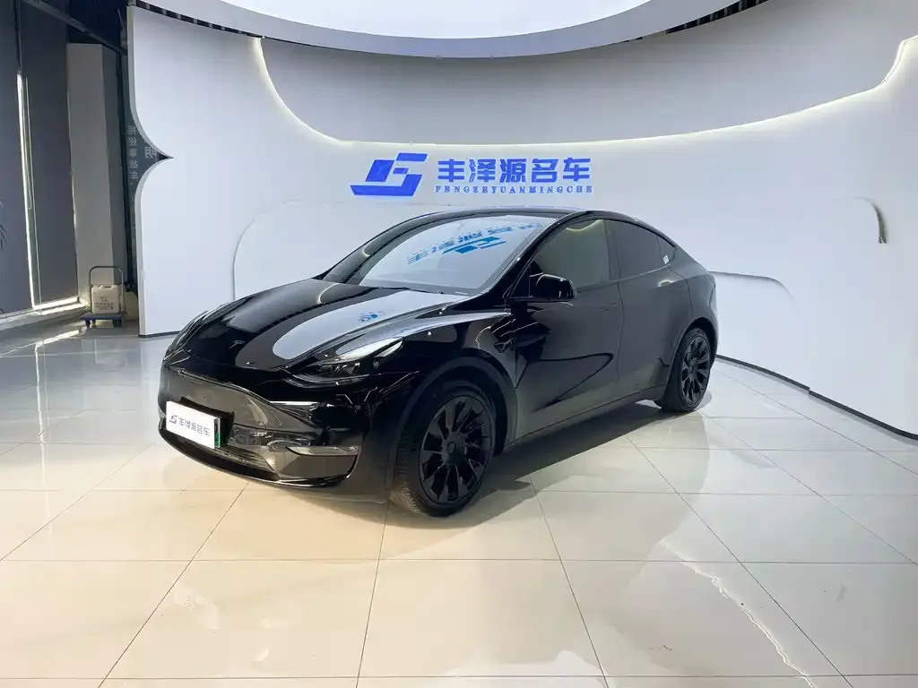 Tesla Model Y — фото 1
