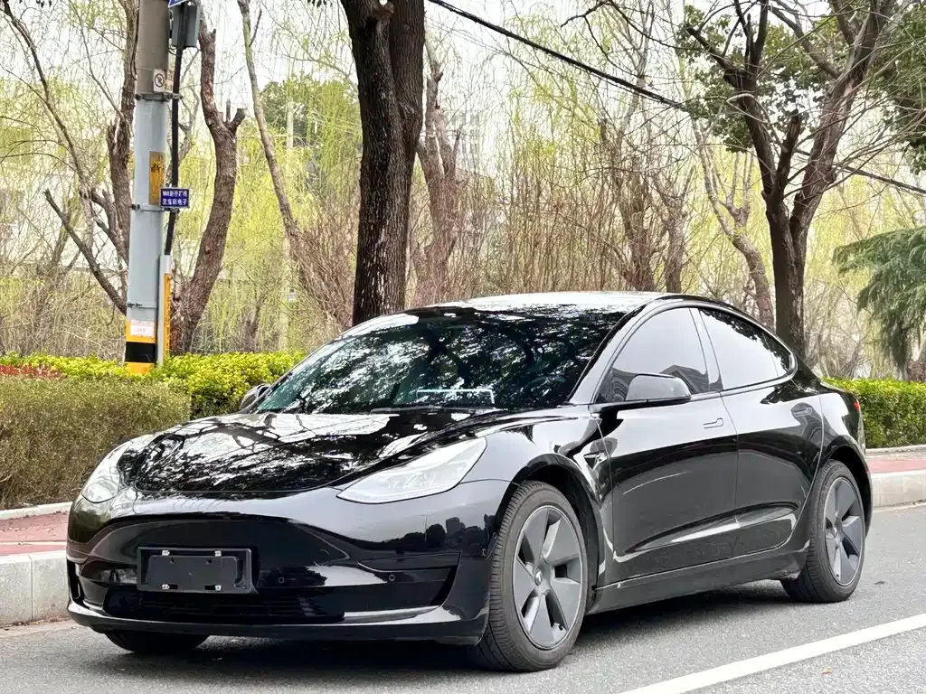 Tesla Model 3 — фото 1