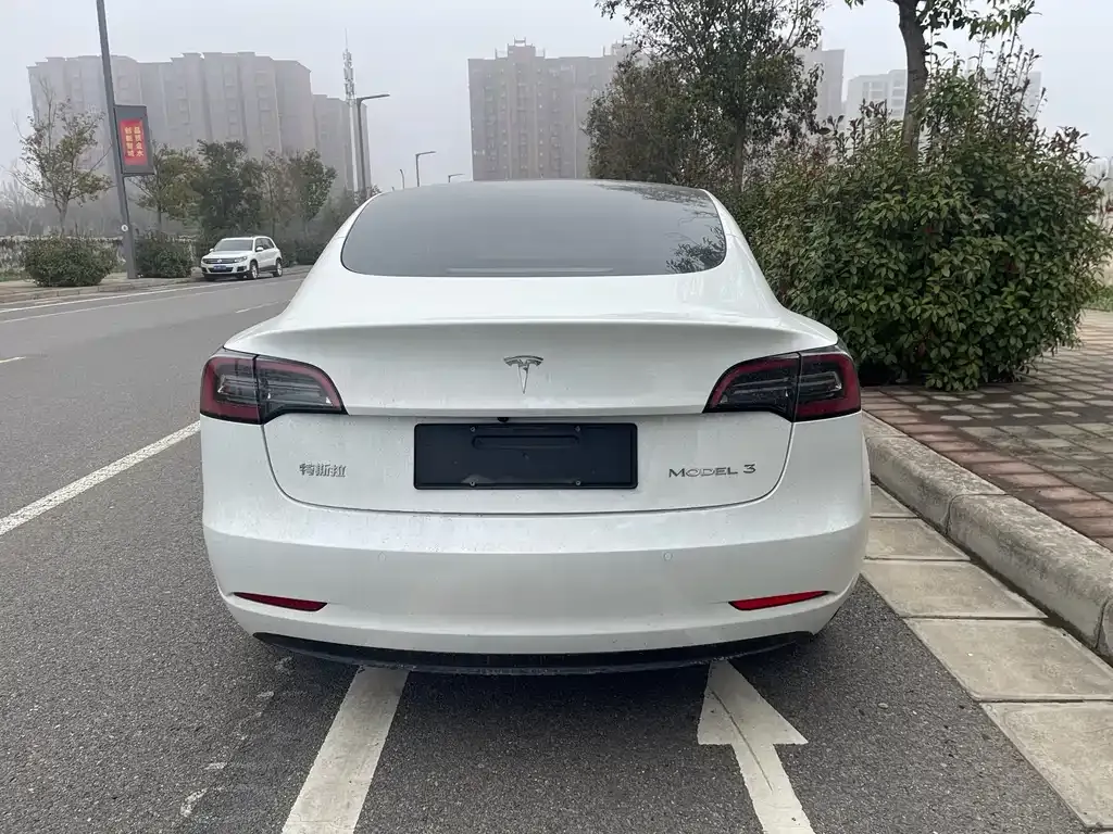 Tesla Model 3 2023 из CN, фото 8