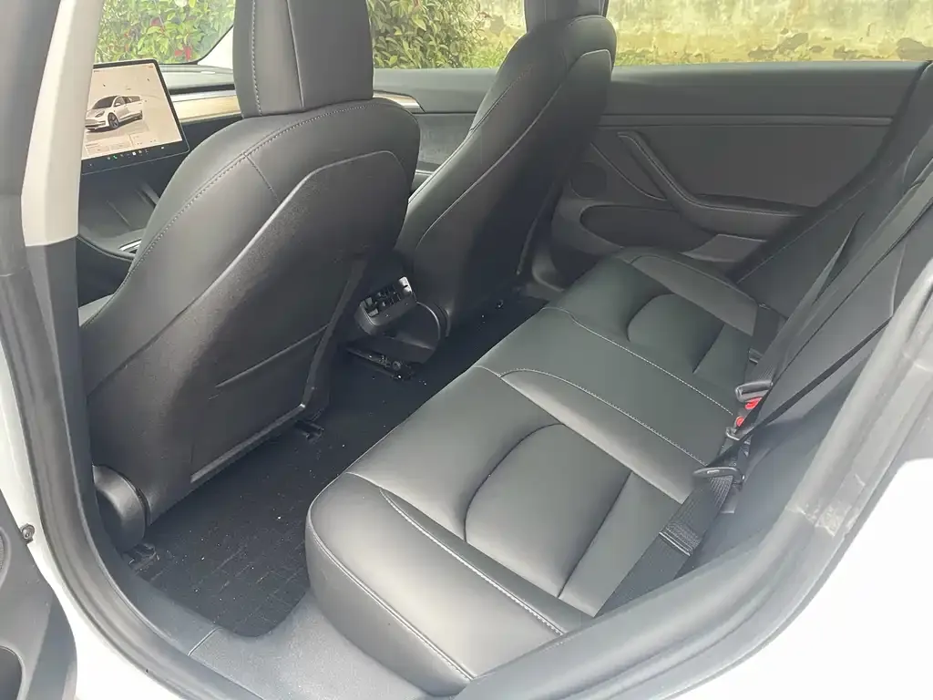 Tesla Model 3 2023 из CN, фото 2
