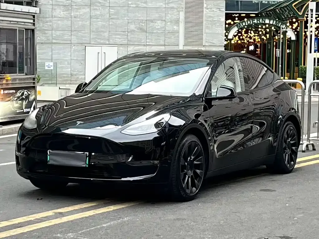 Tesla Model Y 2021 из CN, фото 1