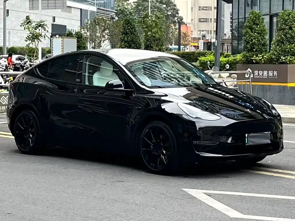 Tesla Model Y 2021 из CN, фото 7