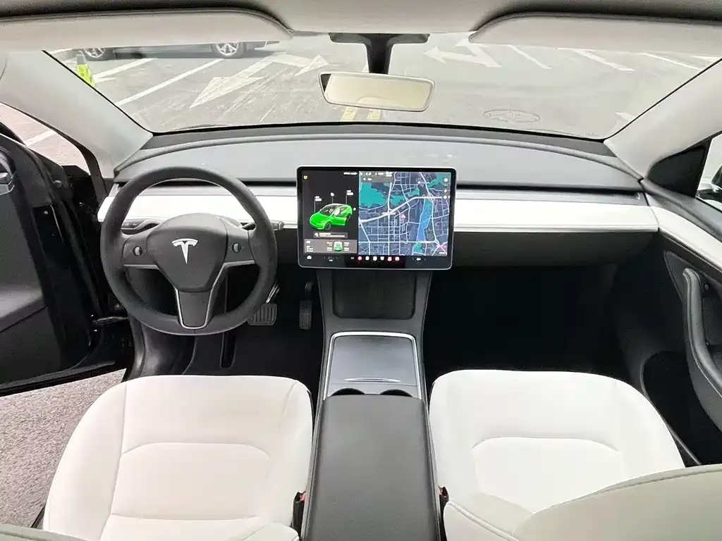 Tesla Model Y 2021 из CN, фото 4