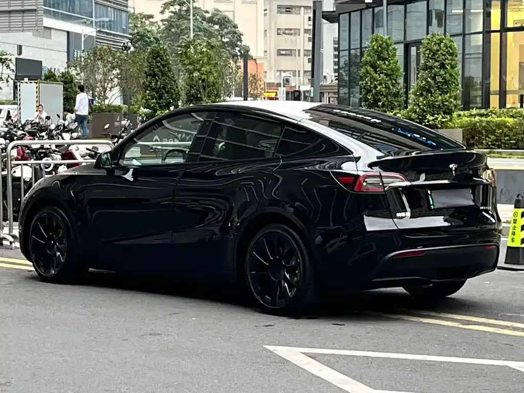 Tesla Model Y 2021 из CN, фото 5