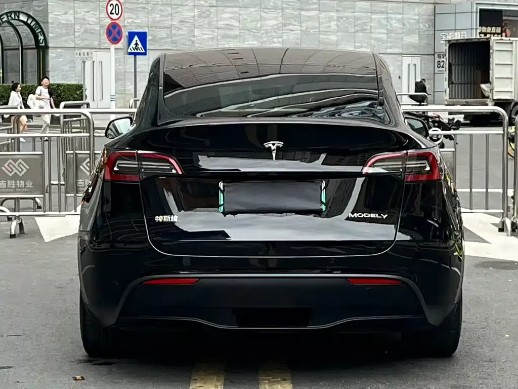 Tesla Model Y 2021 из CN, фото 6