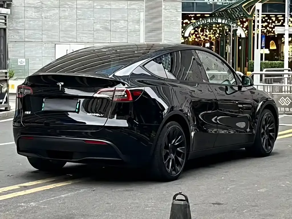 Tesla Model Y 2021 из CN, фото 8