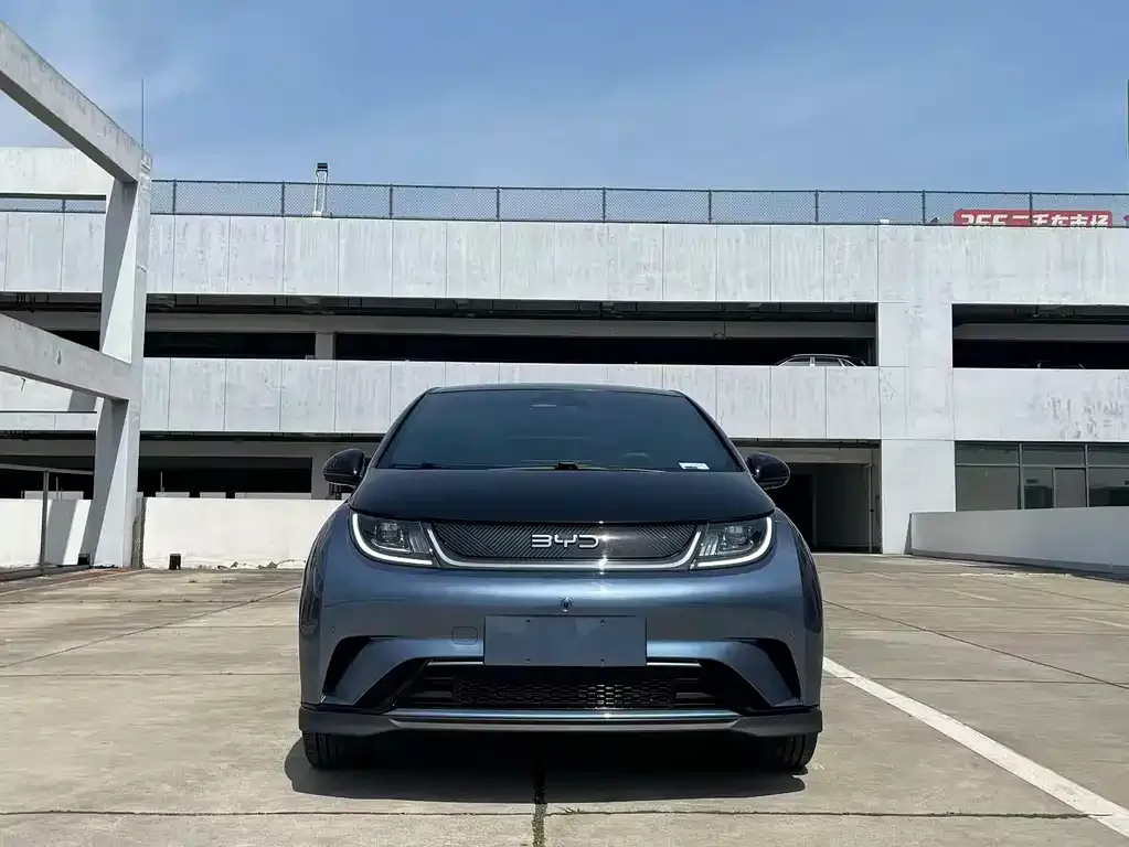BYD Dolphin 2024 из CN, фото 7