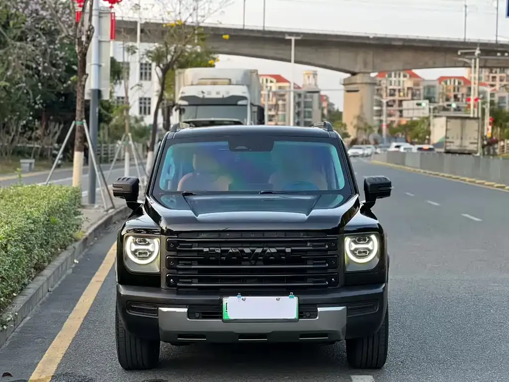 Haval Menglong New Energy 2023 из CN, фото 4