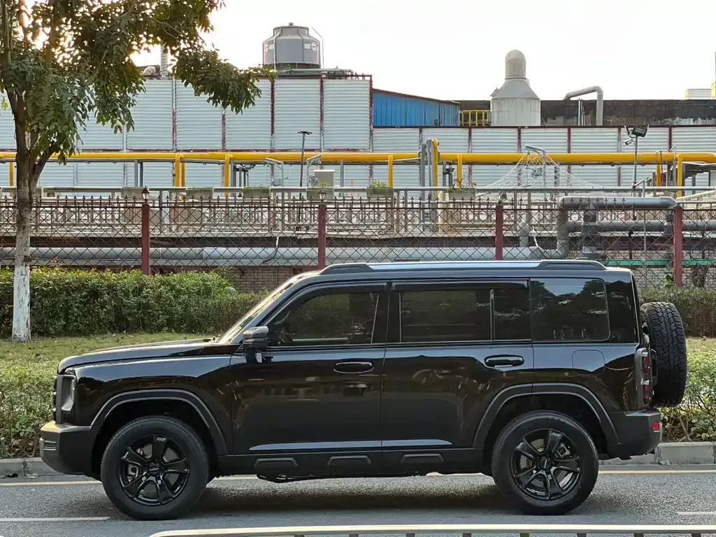 Haval Menglong New Energy 2023 из CN, фото 5