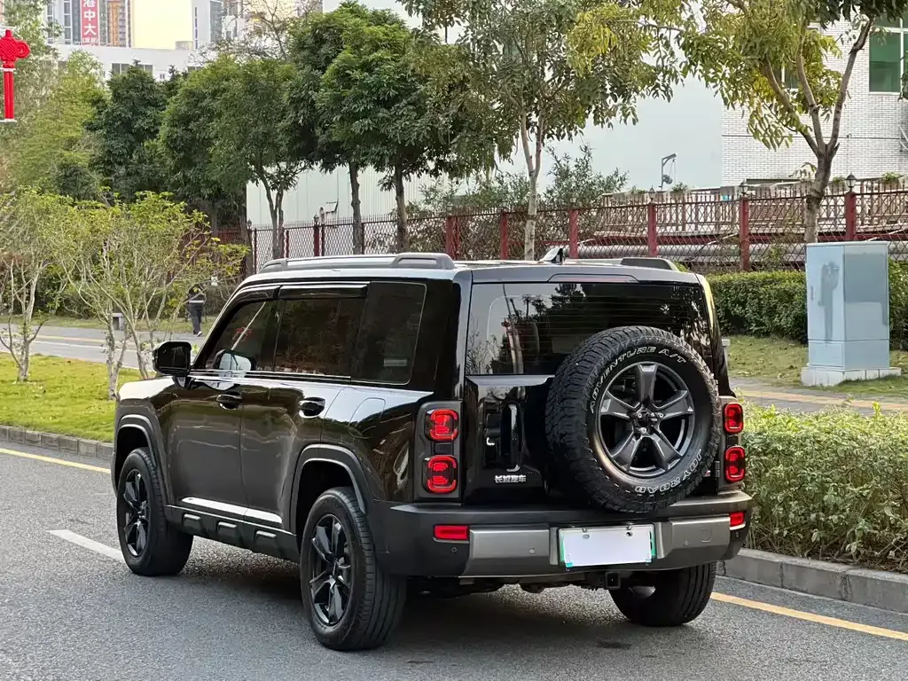 Haval Menglong New Energy 2023 из CN, фото 7