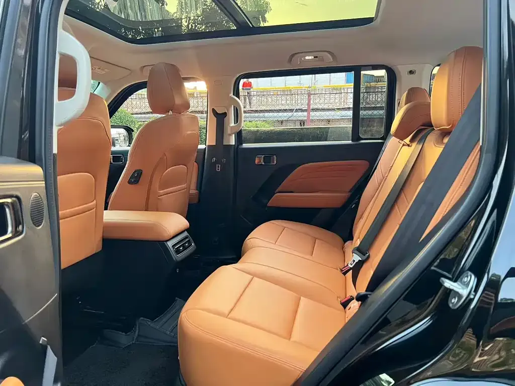 Haval Menglong New Energy 2023 из CN, фото 3