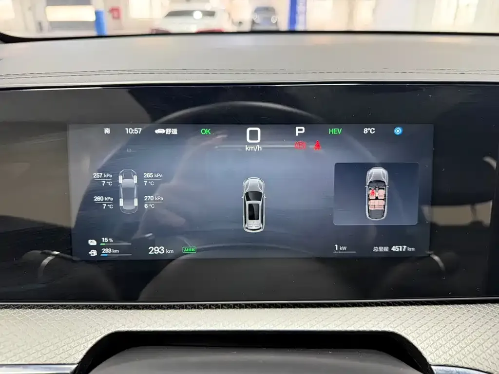 BYD Pro New Energy 2025 из CN, фото 6