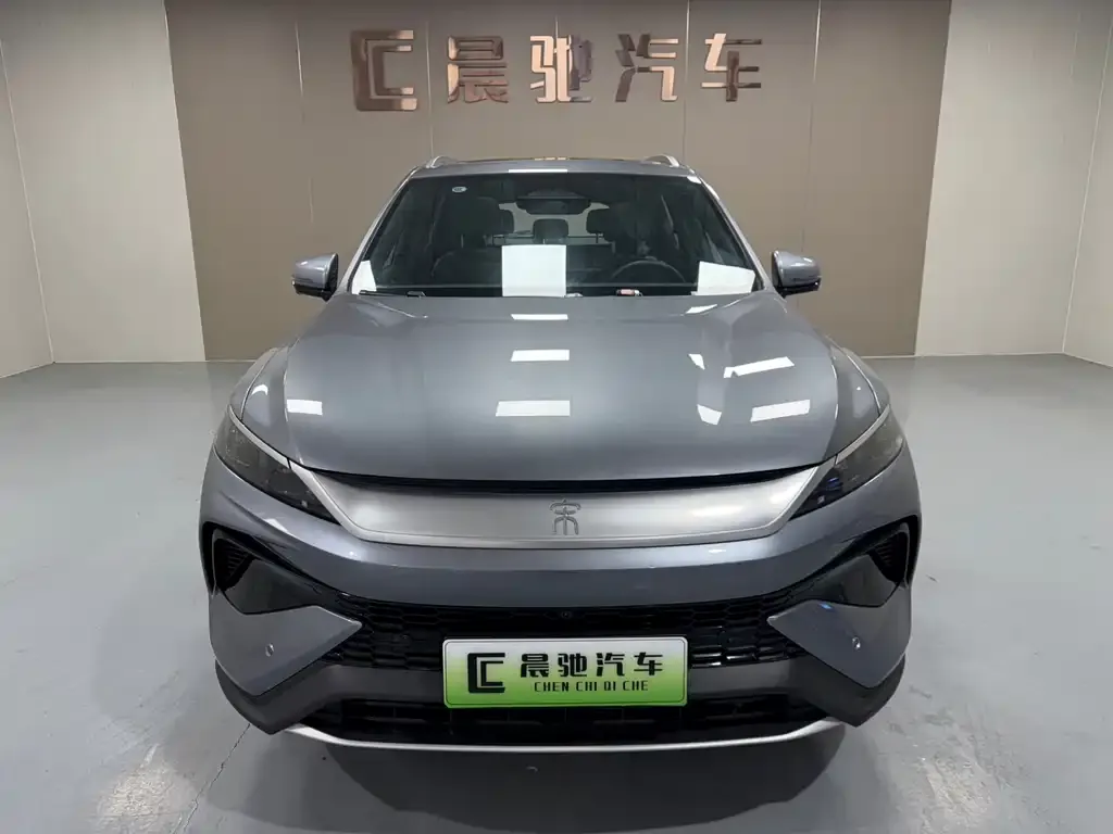BYD Pro New Energy 2025 из CN, фото 2