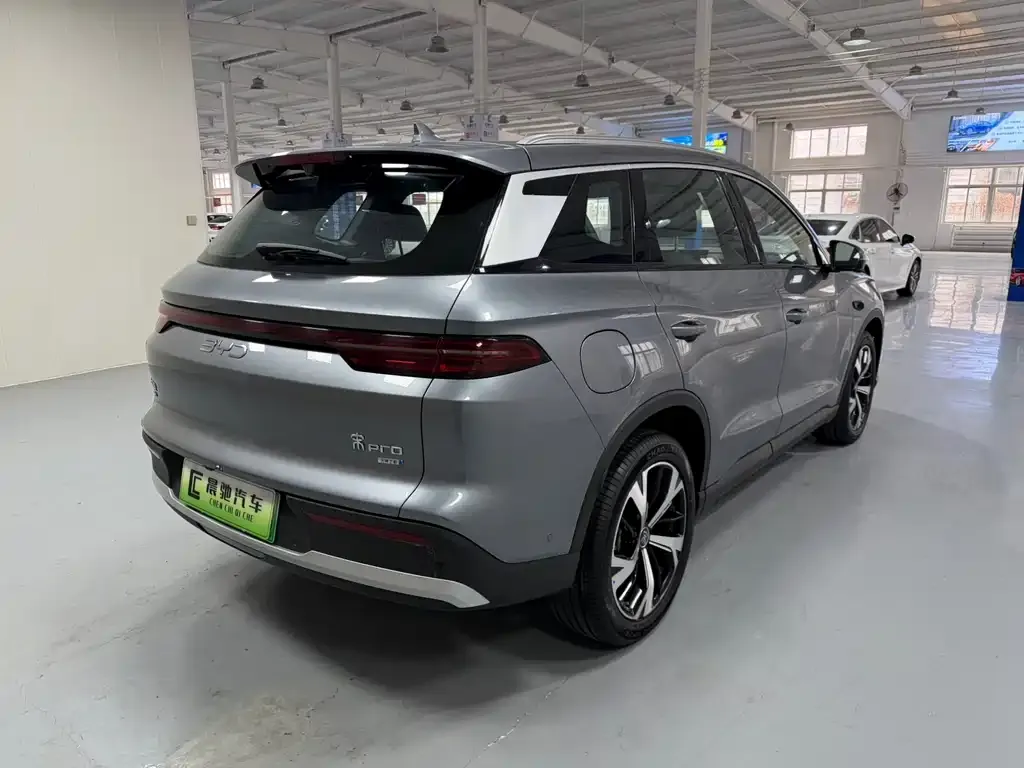 BYD Pro New Energy 2025 из CN, фото 10