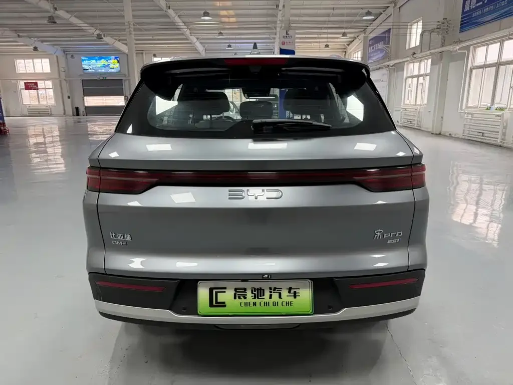 BYD Pro New Energy 2025 из CN, фото 7