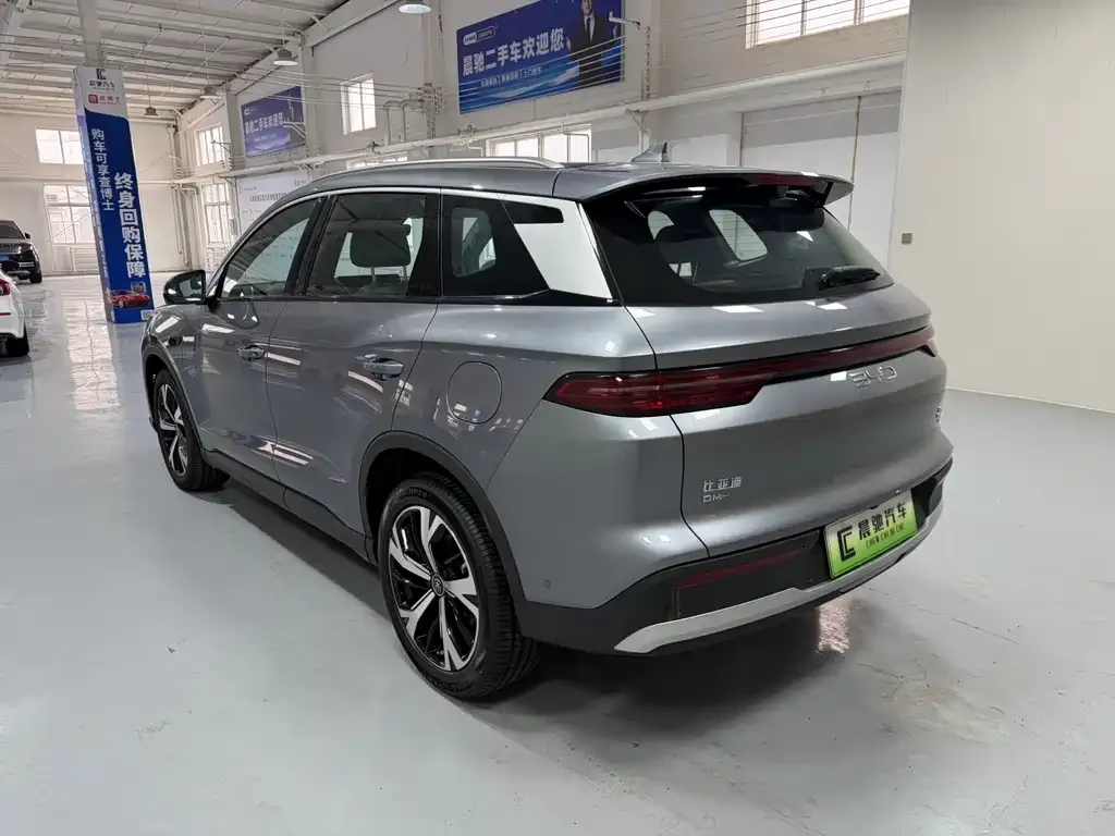 BYD Pro New Energy 2025 из CN, фото 8