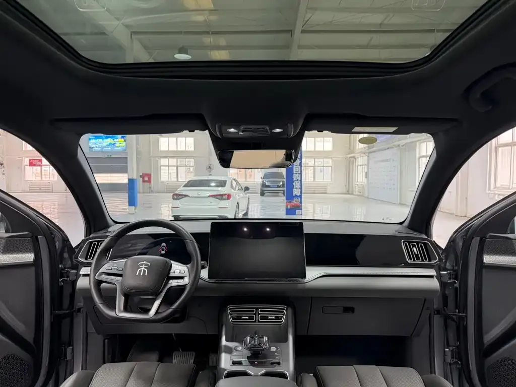 BYD Pro New Energy 2025 из CN, фото 3