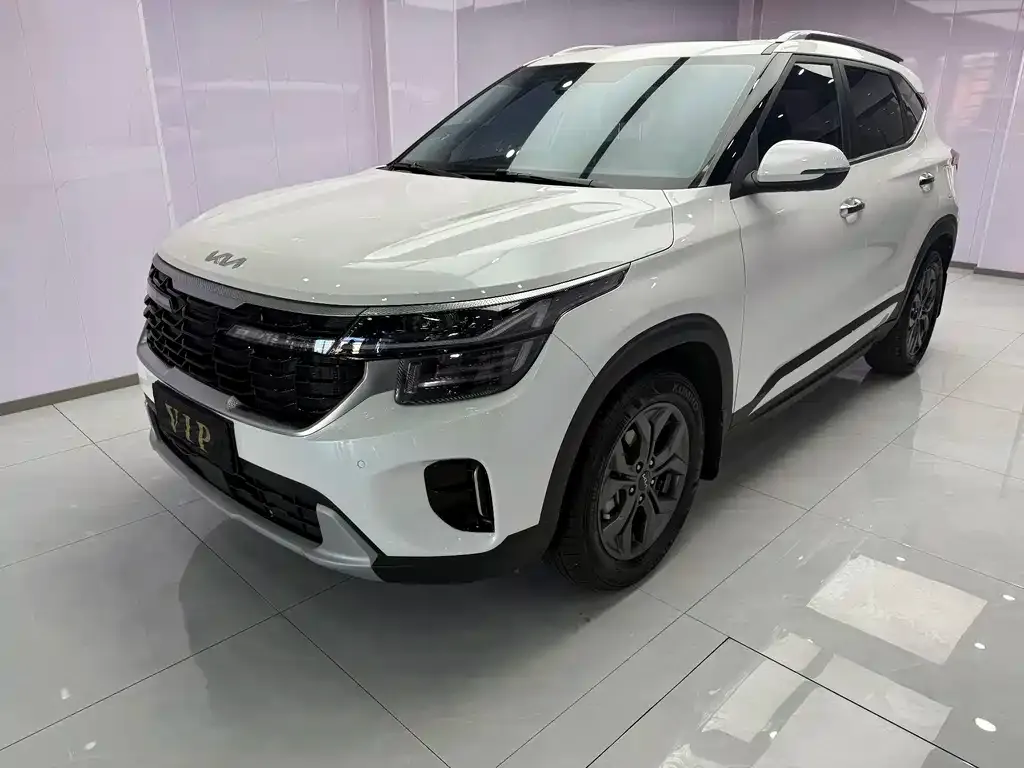 Kia Seltos 2023 из CN, фото 1