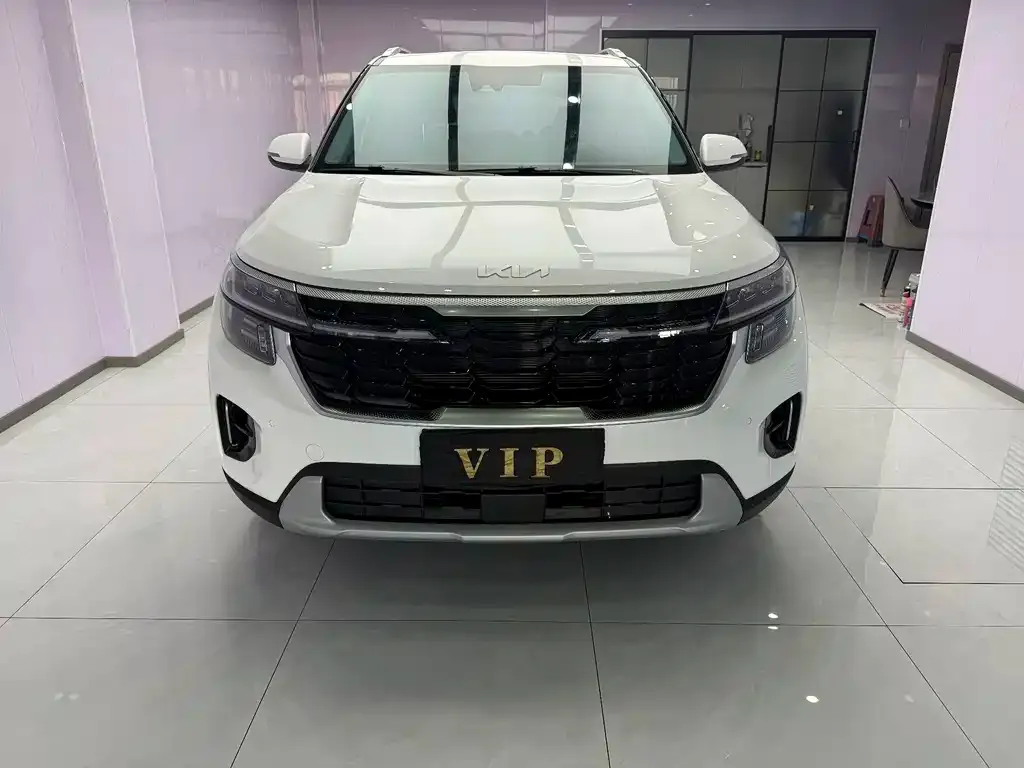 Kia Seltos 2023 из CN, фото 4