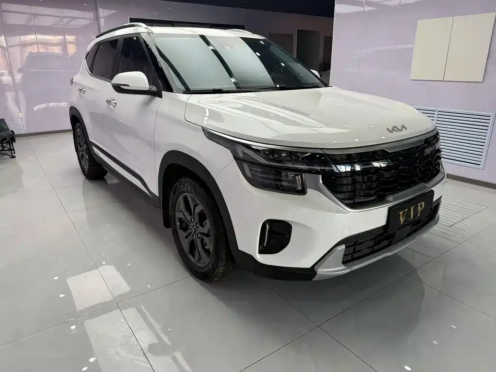 Kia Seltos 2023 из CN, фото 3