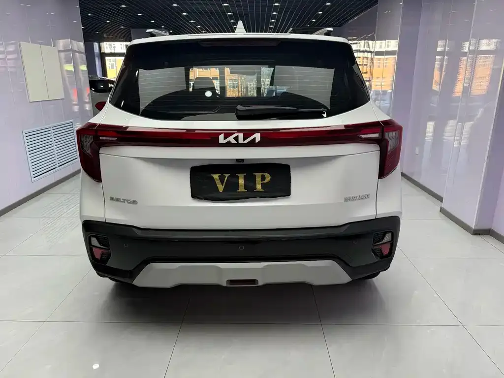 Kia Seltos 2023 из CN, фото 6