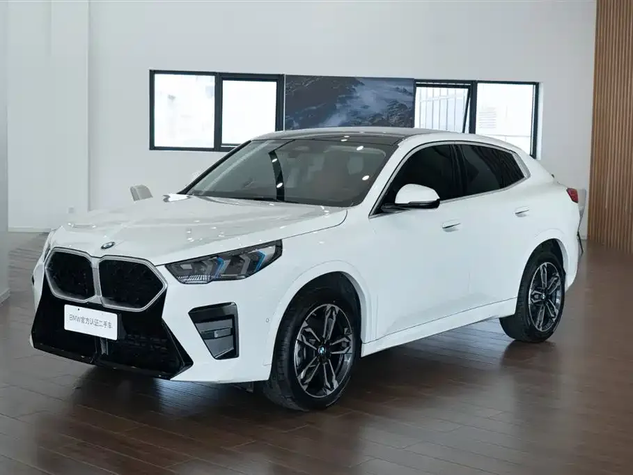 BMW X2 (Import) 2025 из CN, фото 1
