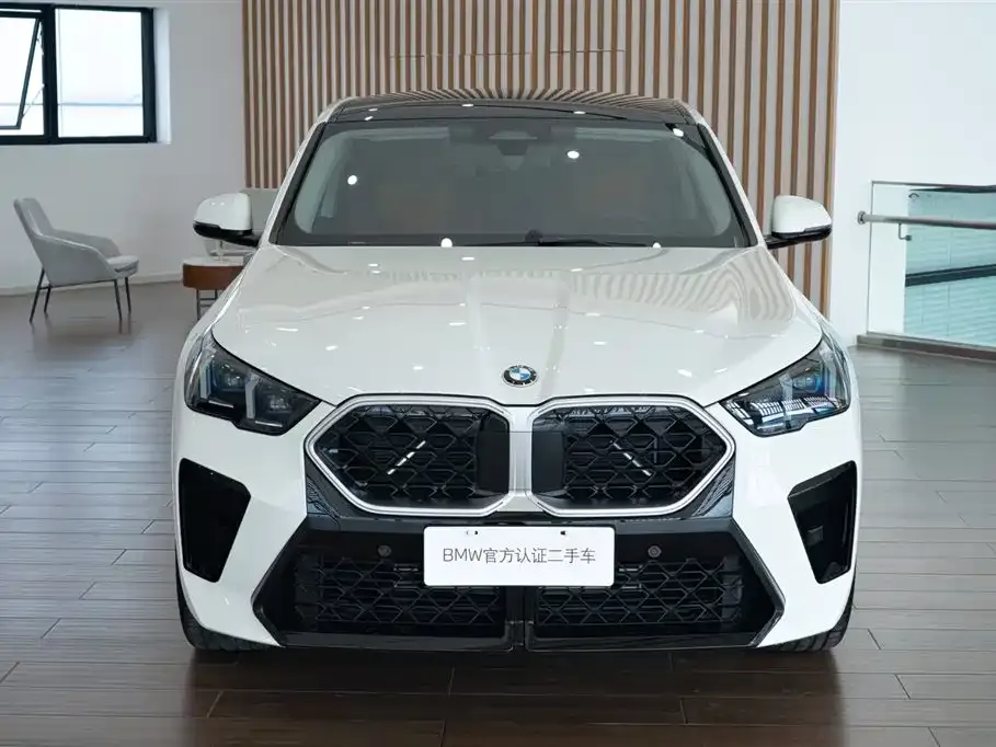 BMW X2 (Import) 2025 из CN, фото 8