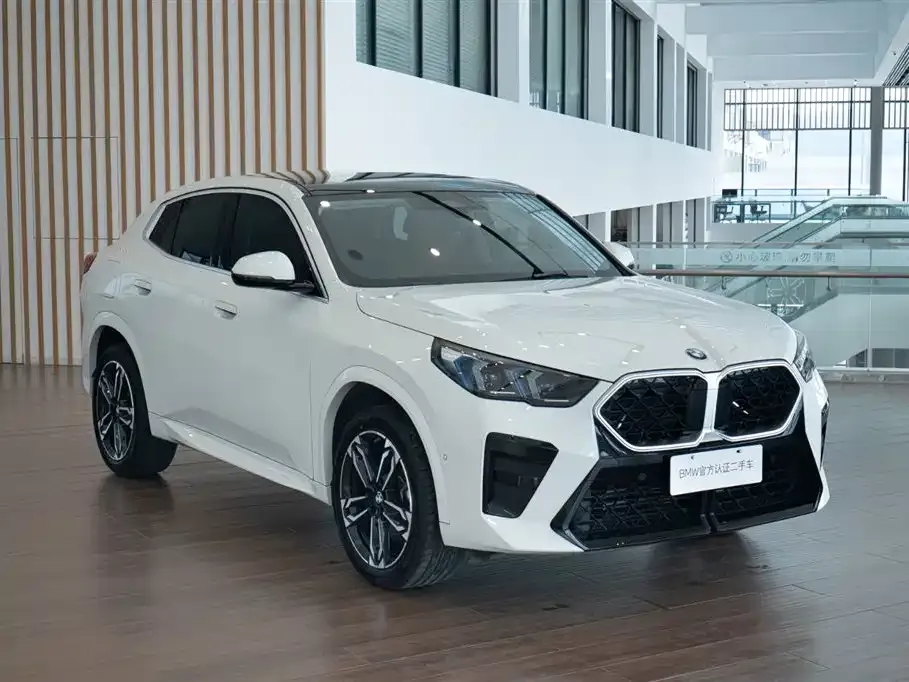 BMW X2 (Import) 2025 из CN, фото 10